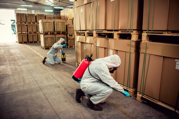 Best Wildlife Control Services  in Landmk, AR