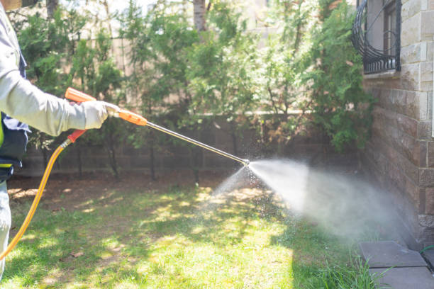 Best Pest Removal Services  in Landmk, AR