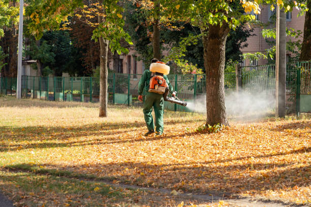 Best Exterminator Services  in Landmk, AR