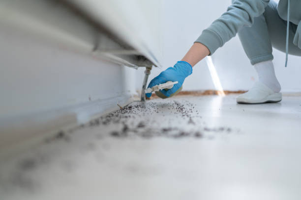 Best Exterminator Services  in Landmk, AR